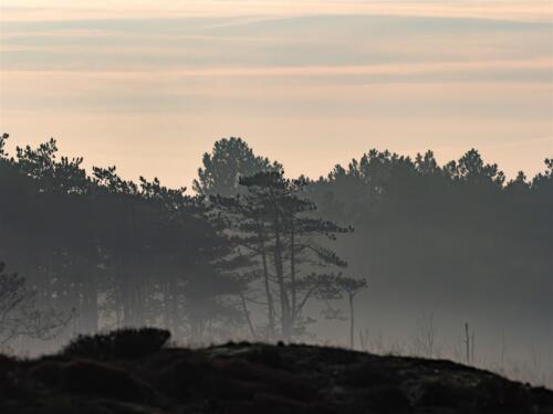 Pim Weeda - Clubuitje Winterwandeling - 2